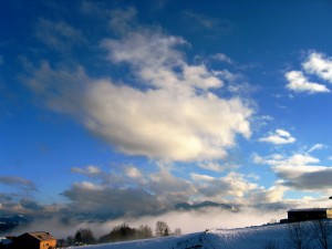 img_6014 img_6014
